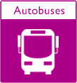 autobuses autobuses